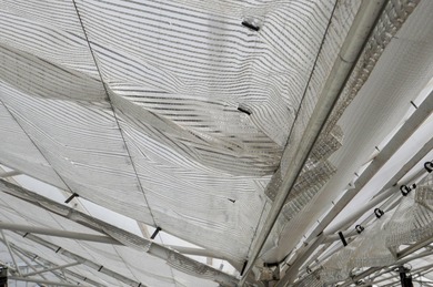 This is an incredible state of the art greenhouse and farm, with