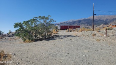 Lake Lot For Sale in Walker Lake, Nevada