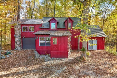 Lake Home For Sale in Osseo, Michigan