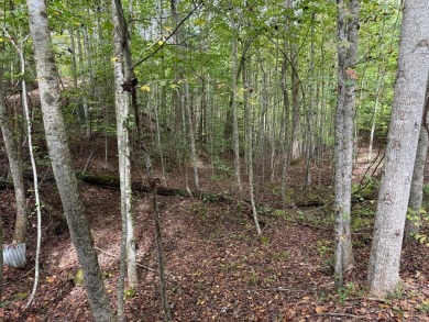 Lake Hiwassee Lot For Sale in Murphy North Carolina