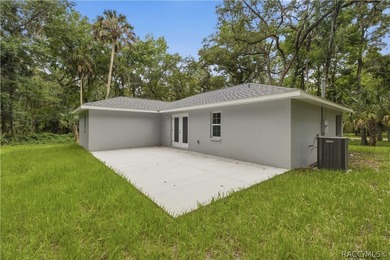 Welcome to Florida's Nature Coast! Built in 2025, this beautiful - photo 22