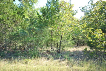 Interior Lot  With Possible Water Access  - Lake Lot For Sale in Jewett, Texas