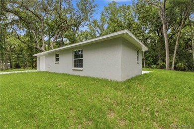 Welcome to Florida's Nature Coast! Built in 2025, this beautiful - photo 25