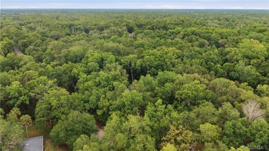 Welcome to Florida's Nature Coast! Built in 2025, this beautiful - photo 29