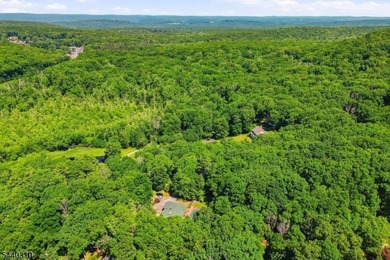 Set on a 1 acre in Culver Lake, this Home offers approximately 2 - photo 47
