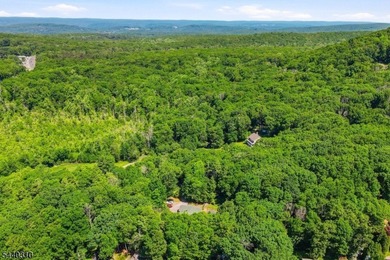 Set on a 1 acre in Culver Lake, this Home offers approximately 2 - photo 49