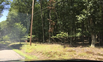 Lake Choctaw  Lot For Sale in Hazle Twp Pennsylvania