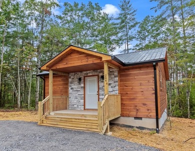 Lake Hiwassee Home For Sale in Murphy North Carolina