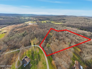Lake Acreage For Sale in Damascus, Pennsylvania