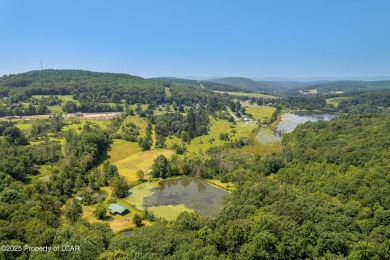 Lake Home For Sale in Dallas, Pennsylvania