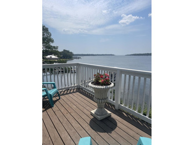 Deep Water Waterfront Home with 156' of shoreline along Boggy - photo 11
