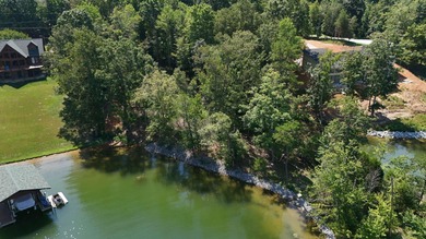 (private lake, pond, creek) Lot For Sale in Ten Mile Tennessee