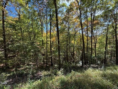 Lake Nantahala Lot For Sale in Nantahala North Carolina