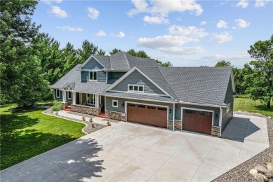 Lake Home For Sale in Big Lake Twp, Minnesota