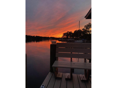 Deep Water Waterfront Home with 156' of shoreline along Boggy - photo 34