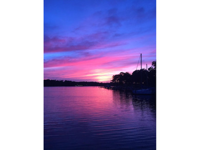 Deep Water Waterfront Home with 156' of shoreline along Boggy - photo 35
