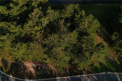 Discover the ideal setting for your dream home on this 0.26-acre - photo 6