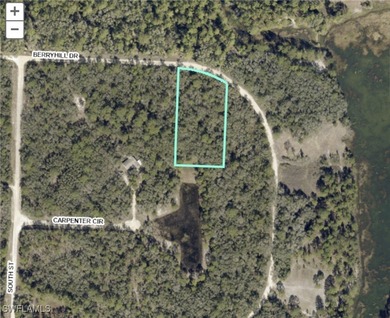 (private lake, pond, creek) Lot For Sale in Webster Florida