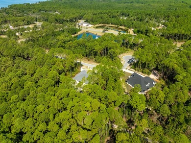 Nestled in the waterfront community of Steamboat Landing at - photo 17