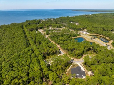 Nestled in the waterfront community of Steamboat Landing at - photo 18