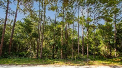 (private lake, pond, creek) Lot For Sale in Webster Florida