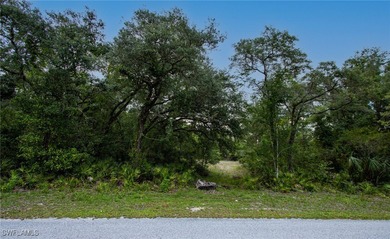 (private lake, pond, creek) Lot For Sale in Webster Florida