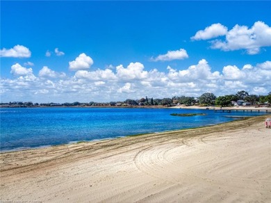 Experience the ultimate lakefront living in Florida with this - photo 32