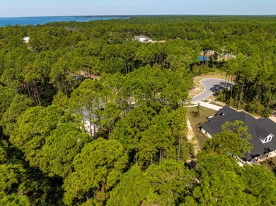 Nestled in the waterfront community of Steamboat Landing at - photo 34