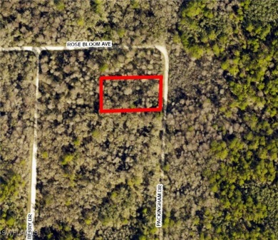 Withlacoochee River Lot For Sale in Webster Florida