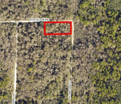 Withlacoochee River Lot For Sale in Webster Florida