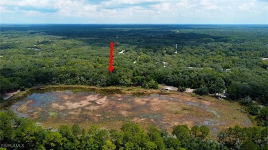 (private lake, pond, creek) Lot For Sale in Webster Florida