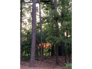 Lake Lot For Sale in Holly Lake Ranch, Texas