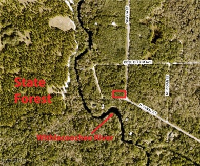 Withlacoochee River Lot For Sale in Webster Florida