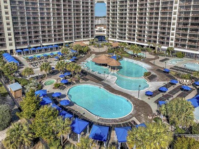 Spectacular furnished 1 BD / 1 BA oceanfront condo in the - photo 15