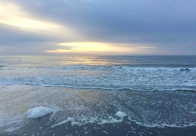Spectacular furnished 1 BD / 1 BA oceanfront condo in the - photo 21