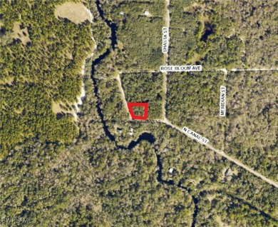 Withlacoochee River Lot For Sale in Webster Florida
