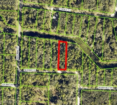 Withlacoochee River Lot For Sale in Webster Florida