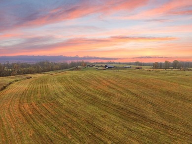 Discover a rare opportunity to own a working farm surrounded on - photo 41