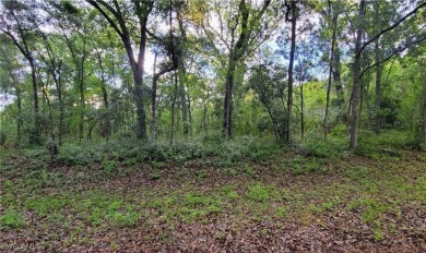 Withlacoochee River Lot For Sale in Webster Florida