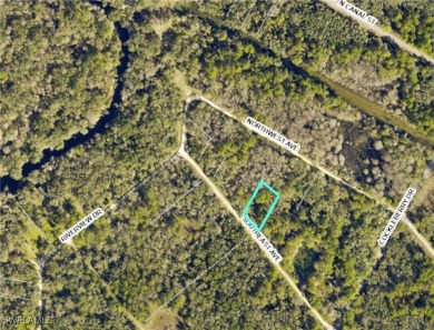 Withlacoochee River Lot For Sale in Webster Florida