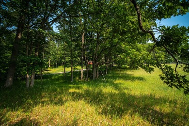 Lake Lot For Sale in Irons, Michigan