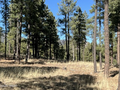 Luna Lake Lot Sale Pending in Alpine Arizona
