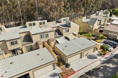 Seller will pay one year of HOA - photo 42