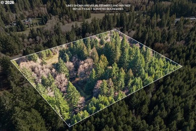 Tucked away on nearly 7 acres of serene, forested privacy, this - photo 47