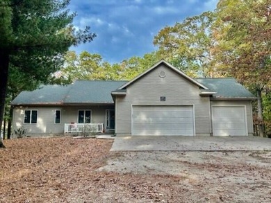 Lake Home For Sale in Twin Lake, Michigan