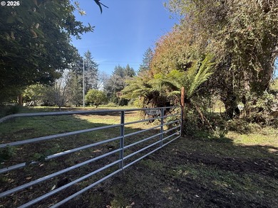 LEVEL HALF-ACRE NEAR HARRIS BEACH - BUILD-READY WITH ROOM TO - photo 1