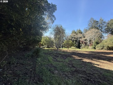 LEVEL HALF-ACRE NEAR HARRIS BEACH - BUILD-READY WITH ROOM TO - photo 4