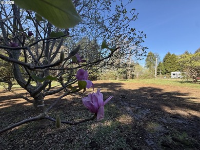 LEVEL HALF-ACRE NEAR HARRIS BEACH - BUILD-READY WITH ROOM TO - photo 5