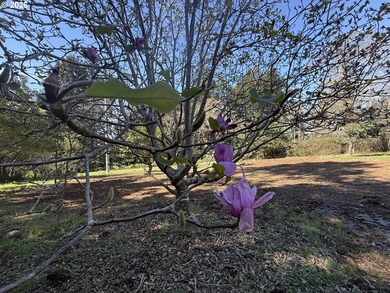LEVEL HALF-ACRE NEAR HARRIS BEACH - BUILD-READY WITH ROOM TO - photo 6