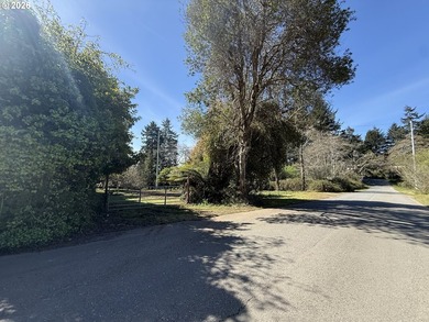 LEVEL HALF-ACRE NEAR HARRIS BEACH - BUILD-READY WITH ROOM TO - photo 7